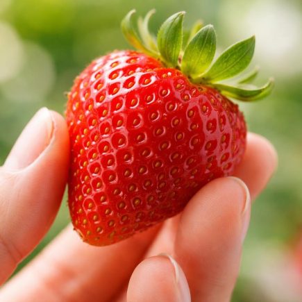 main-fraise-mure-juteuse