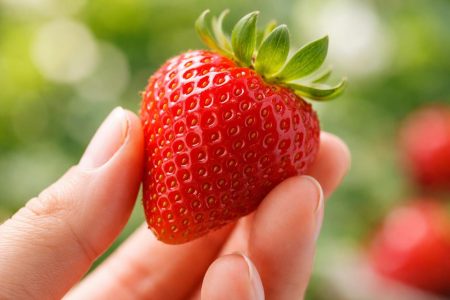 main-fraise-mure-juteuse